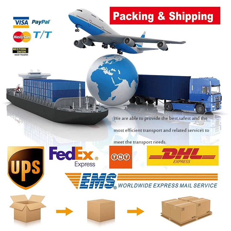 1000W High Power Mobile Emergency Station 1000W High Power Mobile Emergency Station